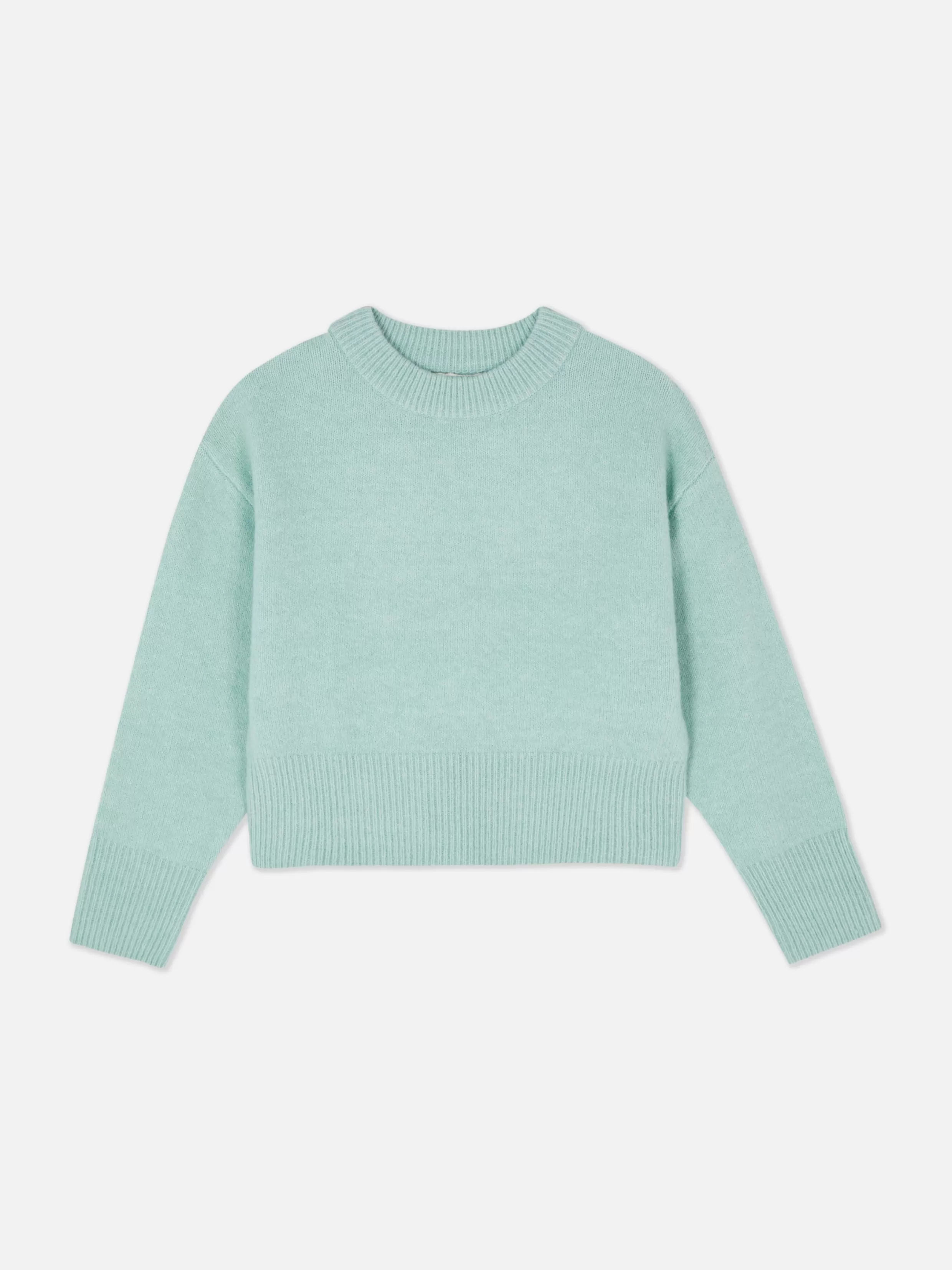 Primark Truien En Vesten^Trui Met Ronde Hals