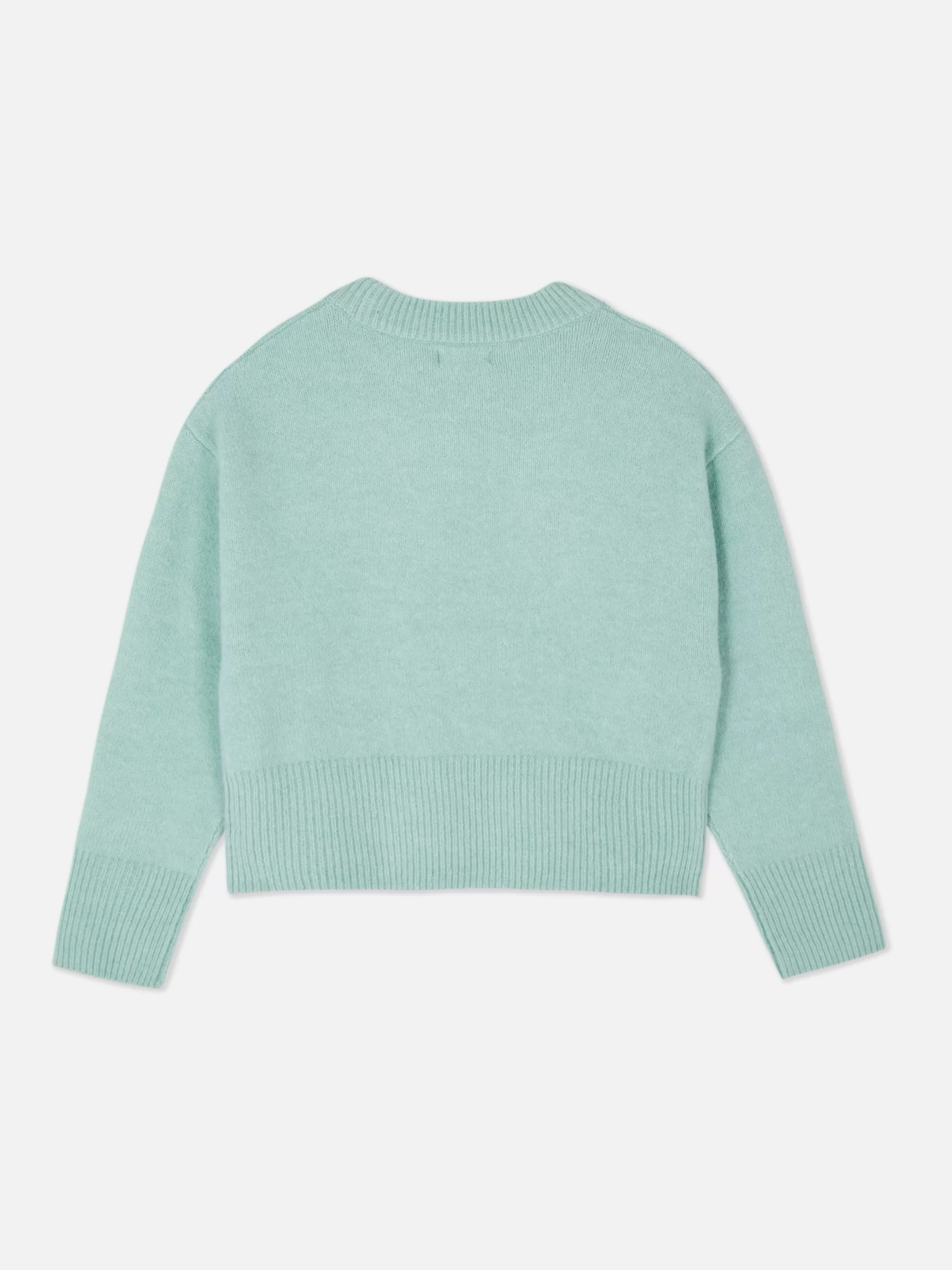 Primark Truien En Vesten^Trui Met Ronde Hals